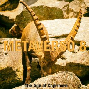 Download track Diversions Metaverse 8