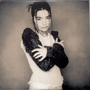 Download track Human Behaviour Björk