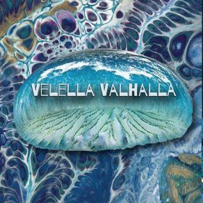 Download track Rosed Window Velella Valhalla