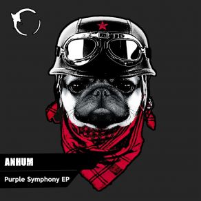 Download track Swamp (Original Mix) Anhum