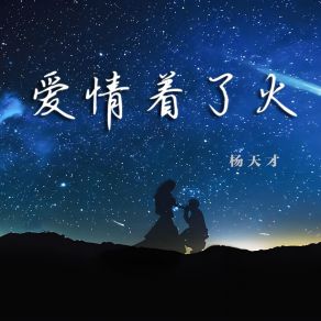 Download track 你是我的城堡 (Dj版) 杨天才