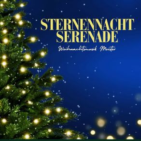 Download track Weihnachtsfavoriten Weihnachtsmusik Meister