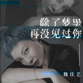 Download track 除了梦里再没见过你 魏佳艺