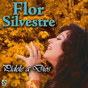 Download track Cansancio FLOR SILVESTRE
