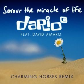 Download track Savour The Miracle Of Life (Radio Edit) David Amaro