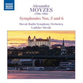 Download track Symphony No. 6 In E Major, Op. 45 III. Largo. Molto Espressivo E Rubato Slovak Radio Symphony Orchestra, Ladislav Slová