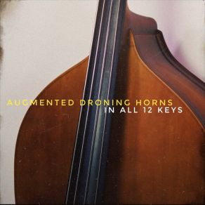 Download track D Augmented Droning Horns Music Skillz Backing Tracks