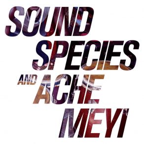 Download track Ogún Meyi Meyi' Soundspecies, Ache Meyi