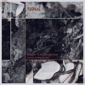 Download track Never Ending Process Mesh Convergence