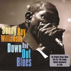 Download track She Brought Life Back To The Dead Sonny Boy Williamson