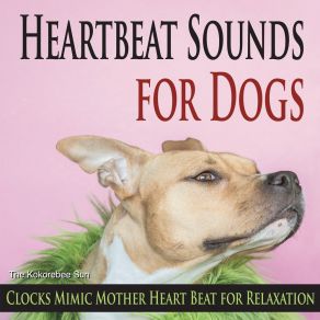 Download track Rhythmic Relaxation Beats For Dogs The Kokorebee Sun