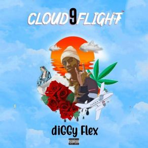 Download track Cloud 9 Flight DiGGy Flex