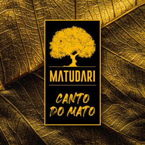 Download track Cidade Matudari