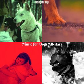 Download track Brilliant Lonely Dogs Music For Dogs All-Stars