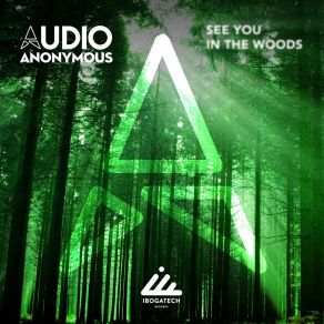 Download track Nutek (Original Mix) Audio Anonymous