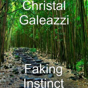 Download track A New Breed Of City Christal Galeazzi