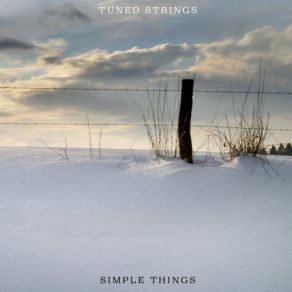 Download track Simple Things Tuned Strings