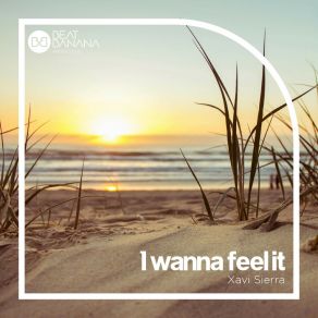 Download track I Wanna Feel It (Extended Mix) Sierra