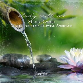 Download track Steady Bamboo Water Fountain Flowing Ambience, Pt. 2 Sebastian Riegl