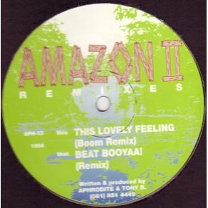 Download track This Lovely Feeling (Boom Remix) Amazon II