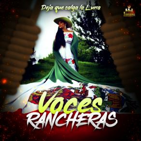 Download track Amorcito Corazon Voces Rancheras