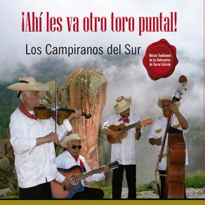 Download track El Borracho (Canción) Los Campiranos