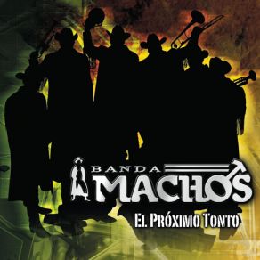 Download track Si Mi Tristeza Se Vá Banda Machos