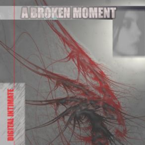 Download track Vanity A BROKEN MOMENT