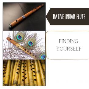 Download track Lucid Dreaming - Rain Sounds Native Indian Flute