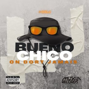 Download track Camoufler Bueno Chico