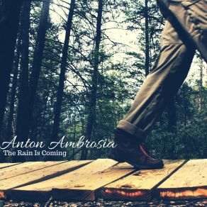 Download track Complex System Of Notes Anton Ambrosia