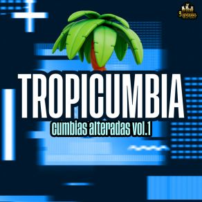 Download track Chica De Humo Tropicumbia