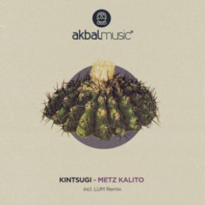 Download track Metz Kalito (Original Mix) Kintsugi