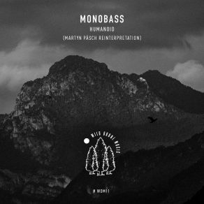 Download track Shadows Plays (Martyn Päsch Reinterpretation) Monobass