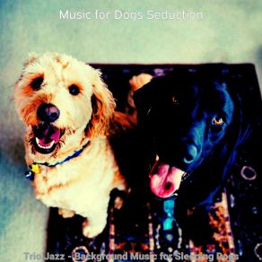 Download track Fabulous Ambience For Separation Anxiety Music For Dogs Seduction