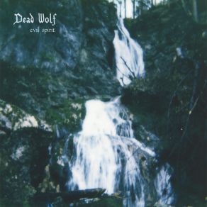 Download track Evil Spirit Dead Wolf