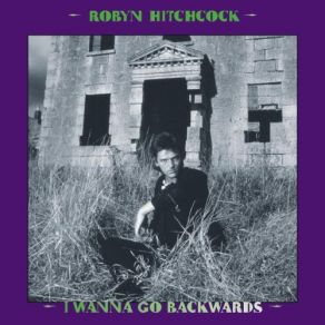 Download track Lovely Golden Villains Robyn Hitchcock