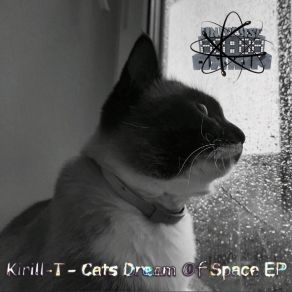 Download track Cats Fly To Mars Kirill-T