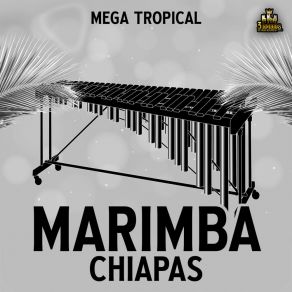 Download track Chusa Marimba Chiapas