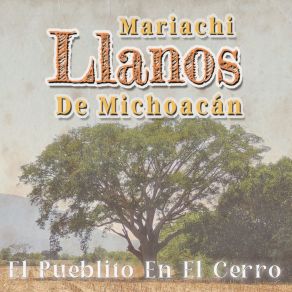 Download track Cuanto Tienes, Eso Vales Mariachi Llanos De Michoacan