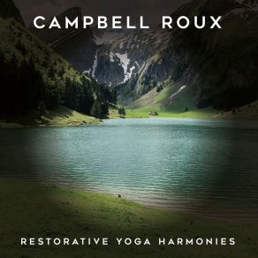 Download track A Large Mirror Giving The Illusion Of Space Campbell Roux