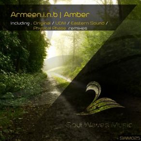 Download track Amber (Physical Phase Remix) Armeen I. N. BPhysical Phase