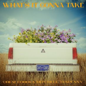 Download track What's It Gonna Take Mitchell Tenpenny, Cheat Codes