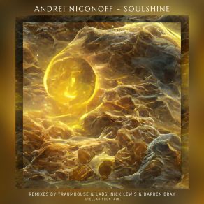 Download track Soulshine (Nick Lewis & Darren Bray Radio Edit) Andrei NiconoffNick Lewis, Darren Bray