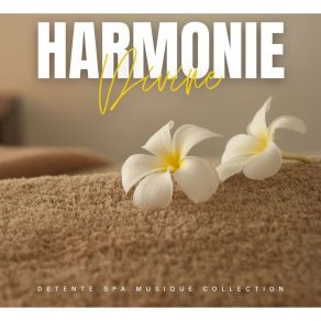 Download track Harmonie Cristalline Detente Spa Musique Collection