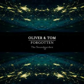 Download track Moonlight Walk (Original Mix) Oliver, Tom