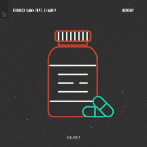 Download track Remedy (Extended Mix) Ferreck Dawn, Shyam P