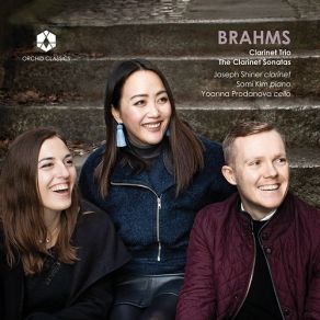 Download track 02. Clarinet Trio In A Minor, Op. 114- II. Adagio Johannes Brahms