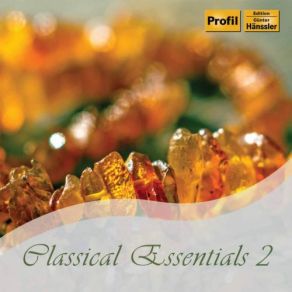 Download track Serenade No 13 In G Major, K 525 Eine Kleine Nachtmusik II Romanze Philharmonia Orchestra