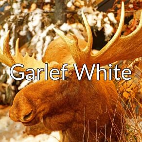 Download track I Speak English Garlef White